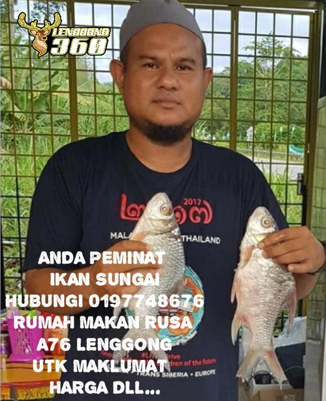 Kampong Ulu Jepai Branda Kampung Sumpitan Lenggong Tiada Sungai酒店 外观 照片