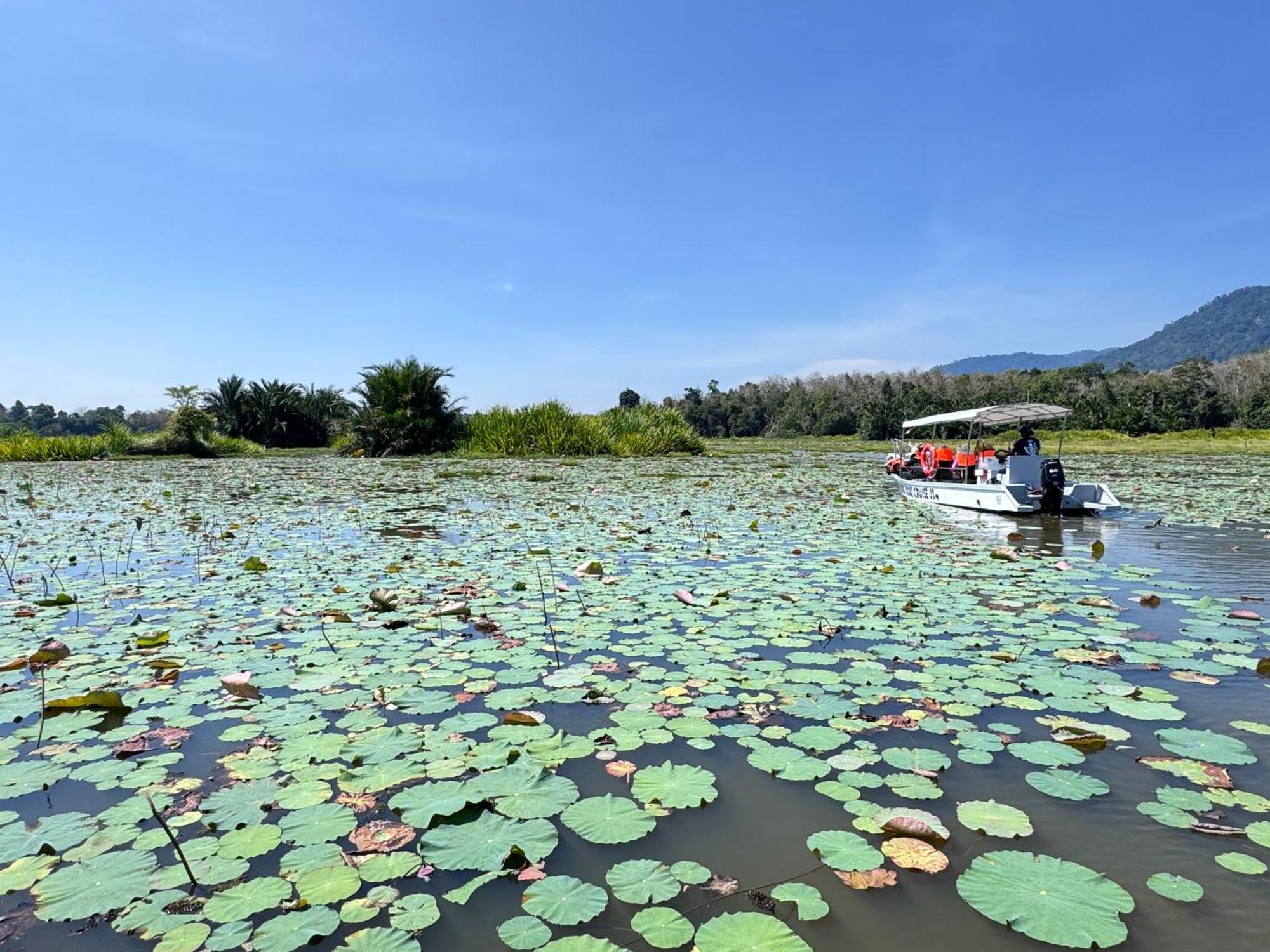 Kampong Ulu Jepai Branda Kampung Sumpitan Lenggong Tiada Sungai酒店 外观 照片