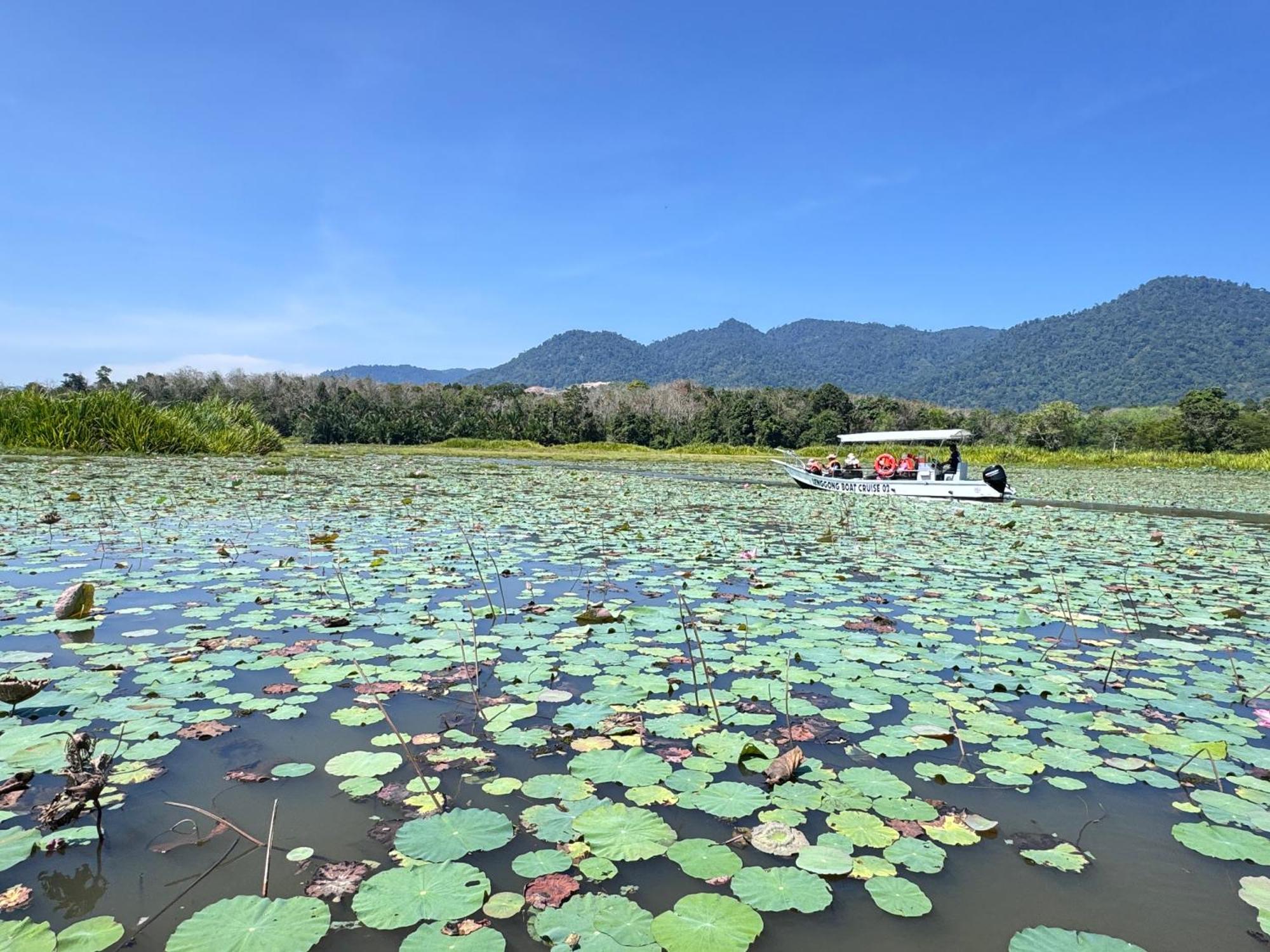 Kampong Ulu Jepai Branda Kampung Sumpitan Lenggong Tiada Sungai酒店 外观 照片